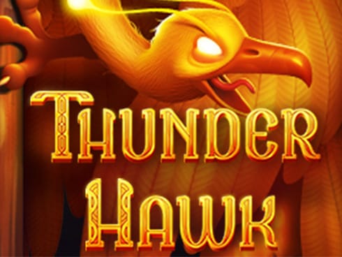 تھنڈر ہاک game cover